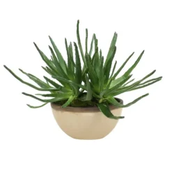 Agave in Oval Vase with Shellish Sand Glaze