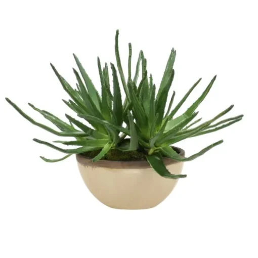 Agave in Oval Vase with Shellish Sand Glaze