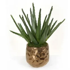 Agave Plant in Gold Planter