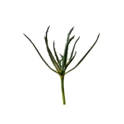 17"Aloe Stem x 1 (Medium)