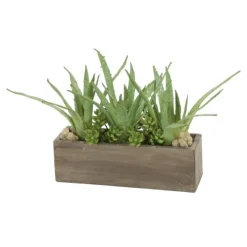 Aloe, Succulents in Rectangle Concrete Box