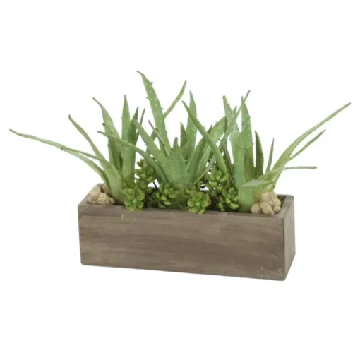 Aloe, Succulents in Rectangle Concrete Box