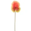 27" Anthurium Stem Red/Green  (Sold in Multiples of 12)
