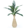 Aspipistra Plant in Abaca Vase