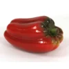 Bell Pepper Red (Sold in Multiples of 12)