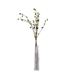 59" Birch Branch with Leaves of Green