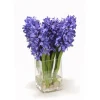 Blue Hyacinths in Square Vase