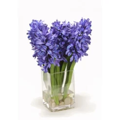 Blue Hyacinths in Square Vase