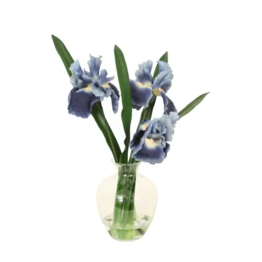 Blue Iris with Blades in Victora Vase