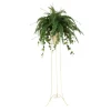 Boston Fern in Beige Vase with Plant Stand