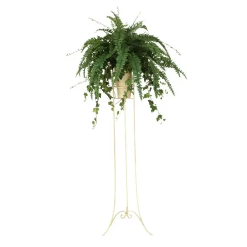 Boston Fern in Beige Vase with Plant Stand