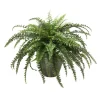 Boston Fern in Black Orb Planter