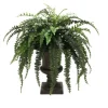Boston Fern in Large Classic Urn