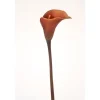 30.5" Cally Lily Stem in Dark Brown (Sold in Multiples of 12)