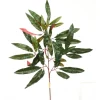 28" Capensia Spray (Sold in Multiples of 12)