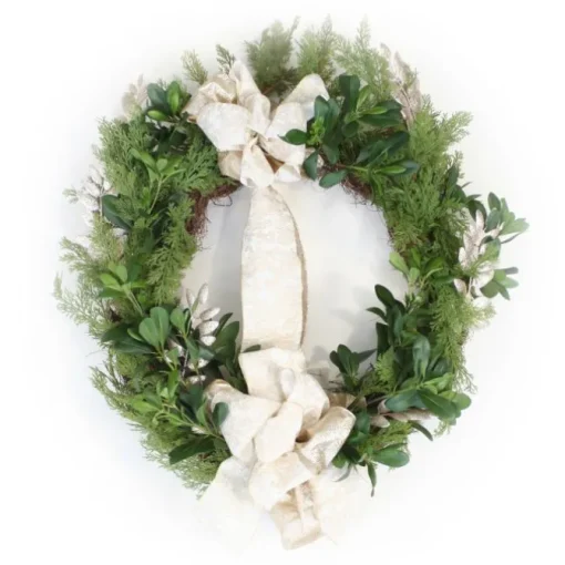 Cedar Wreath with Pittosporum and Glitter Locust and Ribbon