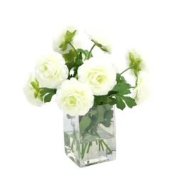 Cream White Ranunculus in Square Vase