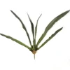 24" Cymbidium Leaf Plant No Roots  (Sold in Multiples of 6)