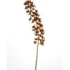 53" Dendrobium Stem in Brown Yellow  (Sold in Multiples of 6)