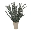 Dried Eucalyptus in Grey Pot