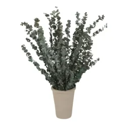 Dried Eucalyptus in Grey Pot