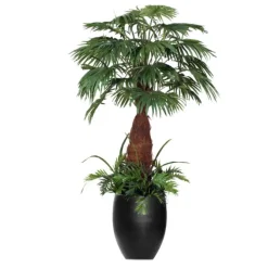 8' Fan Palm Tree with Ground Cover in Black Fiberstone Planter