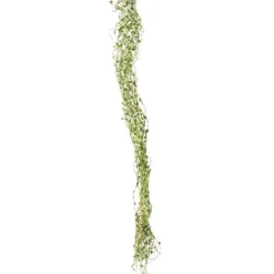 22" Felix Vine Cream Green   (Set of 24)