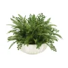 Fern Mixture in Ivory Highland Bowl