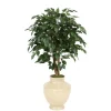 4' Ficus Tree in Shellish Sand Earthenware Planter