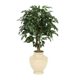 4' Ficus Tree in Shellish Sand Earthenware Planter