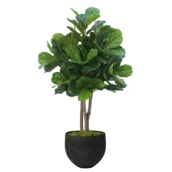 4.5' Fiddle Leaf Tree in Black Orb Stone Planter