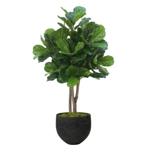 4.5' Fiddle Leaf Tree in Black Orb Stone Planter