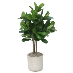 4.5' Fiddle Leaf Tree in Grey Pot