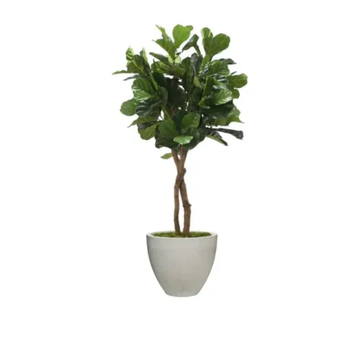 6' Fiddle Leaf Tree in Vertically Ridge  Grey Planter