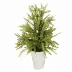 Fir Tree in White Pot