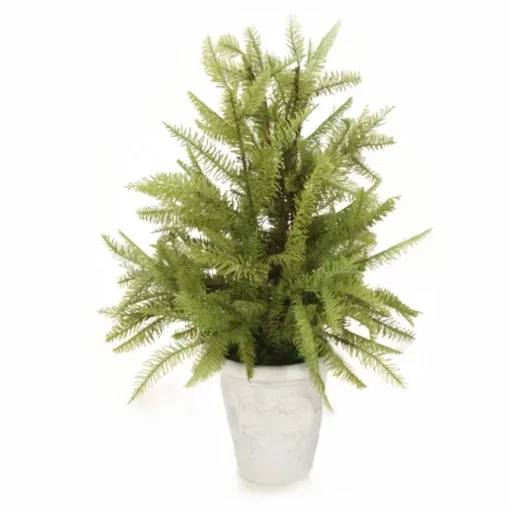 Fir Tree in White Pot