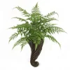 Forest Fern in Swirl Wall Sconce