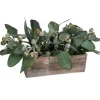 Frosted Eucalyptus in White Box