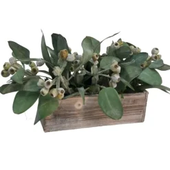 Frosted Eucalyptus in White Box