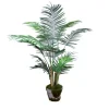 4 ft Areca Palm Tree