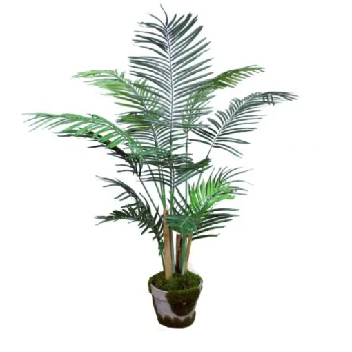 4 ft Areca Palm Tree