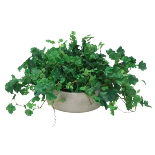Geranium Bush in Grey Wash Bowl