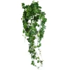 Geranium Leaf Hanging Bush