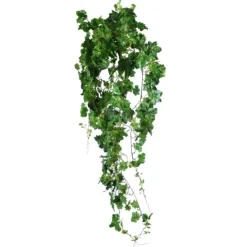 Geranium Leaf Hanging Bush