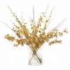 Gold Yellow Oncidium Dancing Orchids in Glass