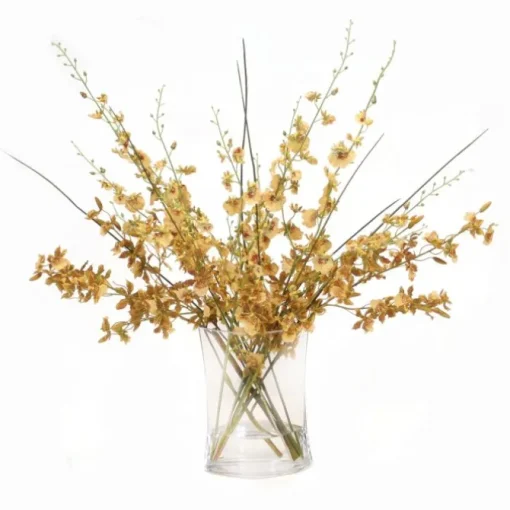 Gold Yellow Oncidium Dancing Orchids in Glass