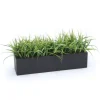 Grass in Black Box