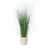 Grass in Grey Wash Pot
