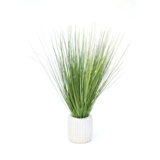 Grass in White Ribbed Vase