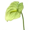 31" Green Anthurium Spray  (Sold in Multiples of 12)